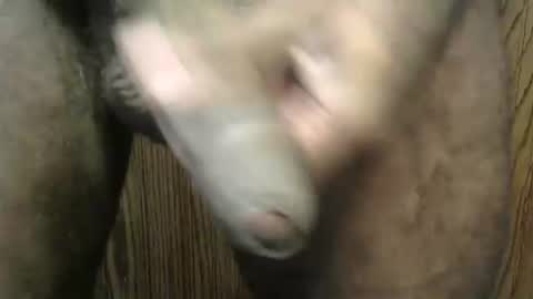 snkr1244 online show from January 19, 8:09 pm