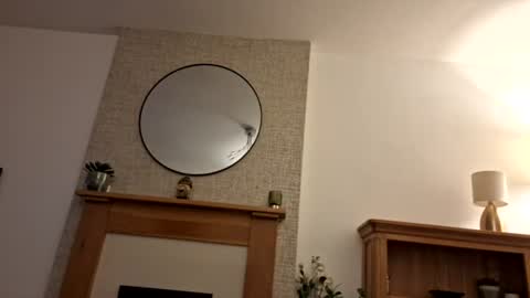 snootyagain online show from July 29, 9:25 pm