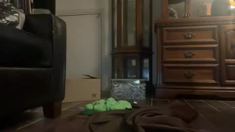 Southernblueyes online show from April 11, 8:12 pm