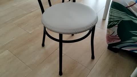 Leo online show from March 2, 1:51 pm