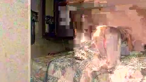 speedo_tx online show from June 16, 3:31 am