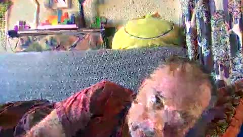 srekos38 online show from November 9, 9:02 am