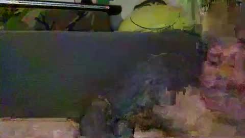 Snapshot of srekos38 chatting on February 28, 12:54 am srekos38 online show from February 28, 12:54 am