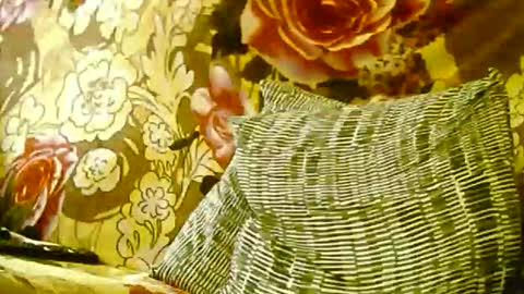 ste_wulf online show from November 1, 11:31 pm