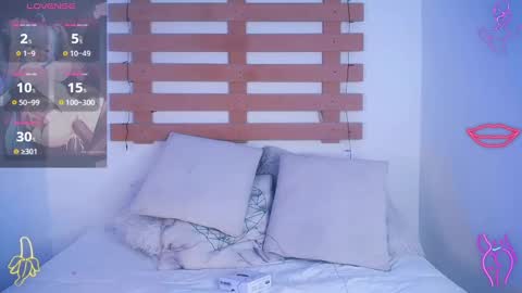 Steev online show from January 11, 5:31 am