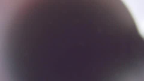 Stefano online show from December 3, 11:38 am