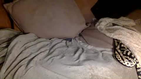 Snapshot of stevemason718 chatting on January 11, 3:23 am STEVE CASHMASTER 1comedia online show from January 11, 3:23 am