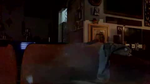 Snapshot of stevemason718 chatting on December 25, 1:53 am STEVE CASHMASTER 1comedia online show from December 25, 1:53 am