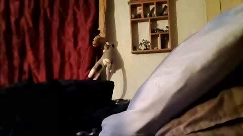 Stonedrob online show from February 25, 10:37 am