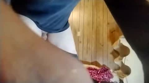 straighttoy online show from March 3, 5:07 am