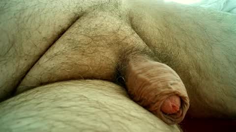 Snapshot of sugus56 chatting on October 28, 1:46 pm Samenspender online show from October 28, 1:46 pm