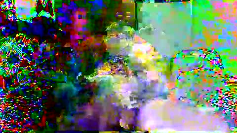 supermanloverhg online show from February 13, 10:55 am