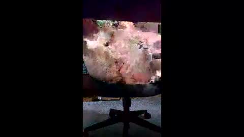 svald0 online show from June 5, 12:44 pm