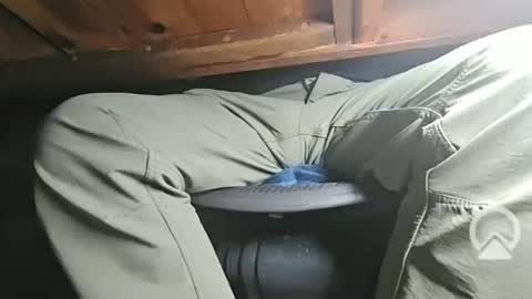 swamp486822 online show from February 5, 6:13 am