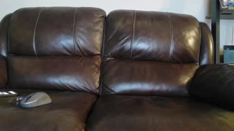 sweetcocksean online show from February 20, 11:12 am