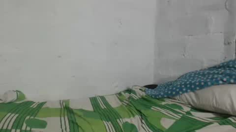 Camilo online show from April 9, 11:16 am