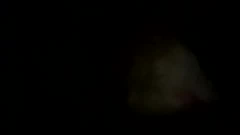 tas66325299 online show from December 23, 8:33 am