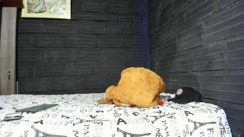 Snapshot of taurus_boy1 chatting on January 19, 10:17 am  T A U R U S  online show from January 19, 10:17 am