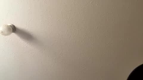 Lilbeebs online show from March 8, 9:30 pm