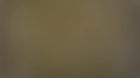 T online show from December 28, 7:55 am