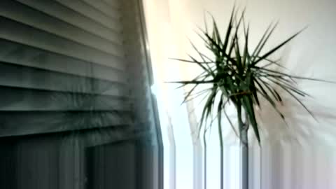 tger2024 online show from October 31, 4:10 pm