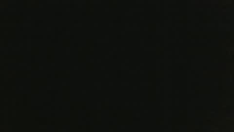 Snapshot of thenudedoodler chatting on January 20, 11:35 am JohnSilver online show from January 20, 11:35 am