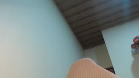 Snapshot of therazhanen chatting on January 13, 2:50 am Santiago Enrique online show from January 13, 2:50 am