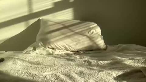 Snapshot of throwawaybbc97 chatting on October 20, 9:08 pm throwawaybbc97 online show from October 20, 9:08 pm