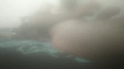 tiger005588 online show from September 19, 11:10 am