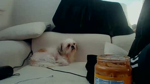 timmy online show from June 21, 2:17 am