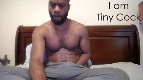 tinycock_1979 online show from January 12, 3:35 pm