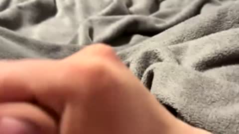 tmue online show from February 27, 1:33 pm