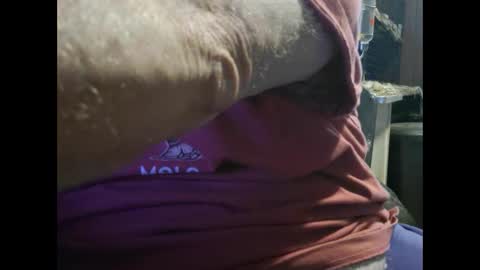 to_boldly_go online show from December 29, 4:19 pm