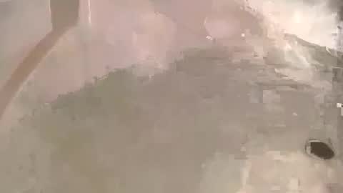 Bean online show from January 28, 5:24 pm