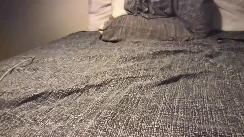 TritonGeekly22 online show from December 16, 8:31 am