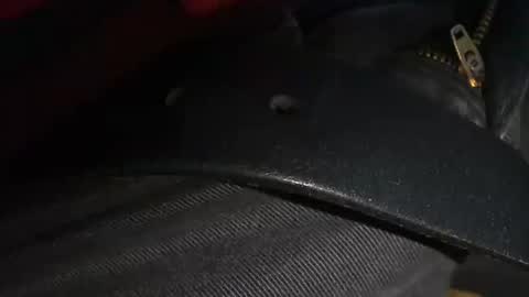 trobelle online show from December 26, 1:43 pm