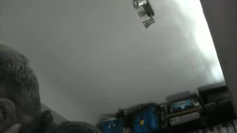 tubsy6868 online show from April 22, 12:43 pm