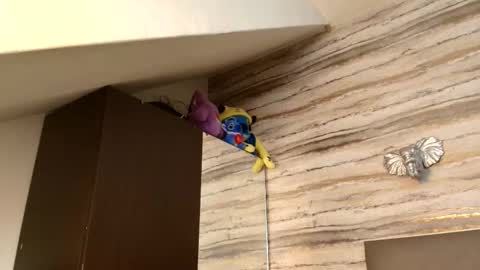    online show from January 6, 3:32 am