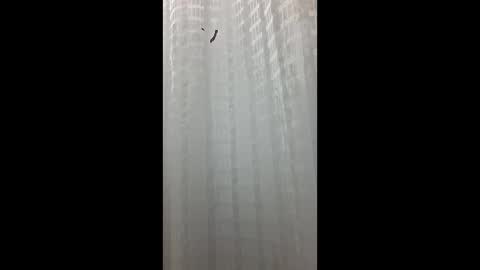 Matt online show from February 2, 7:11 pm