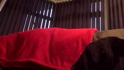 ukcock699196923 online show from November 2, 4:44 pm