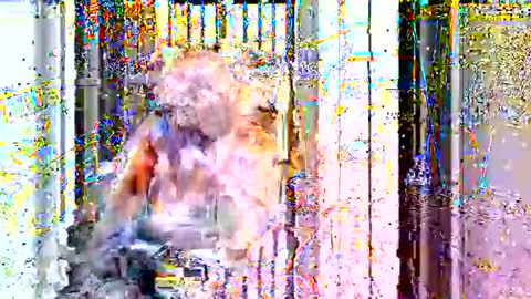 upforanything27 online show from January 29, 2:51 am