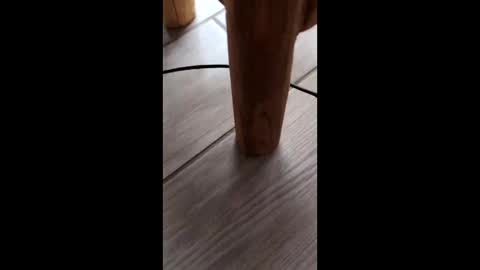 Snapshot of vanici74 chatting on February 24, 4:15 pm vanici74 online show from February 24, 4:15 pm