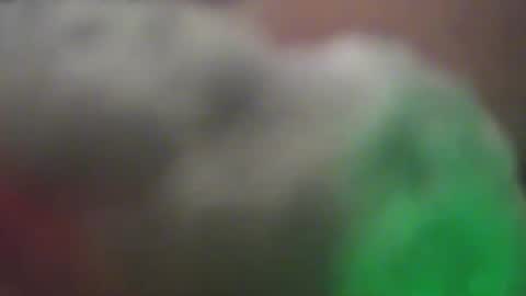 vichrisvi online show from November 19, 11:21 am