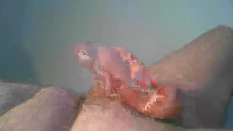Snapshot of vukavuka99 chatting on October 26, 10:01 pm vukavuka99 online show from October 26, 10:01 pm