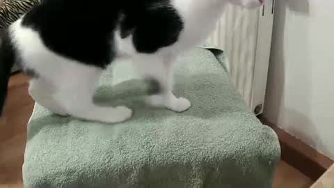 Daniel online show from February 28, 7:56 pm