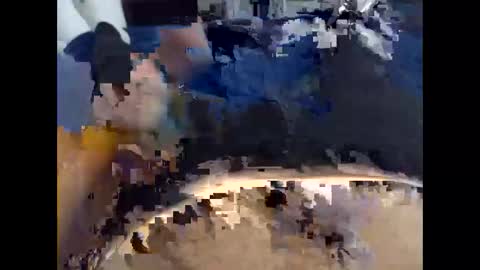 walt3rmex online show from November 24, 3:40 am