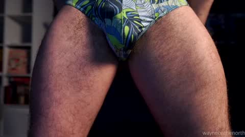 waynenorth online show from January 24, 4:27 am