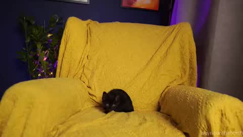 waynenorth online show from October 4, 3:28 pm