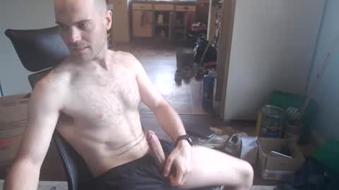 westy797 online show from March 23, 2:28 am