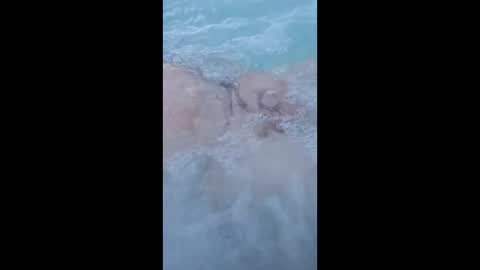 whiteoak19522 online show from March 29, 11:32 am